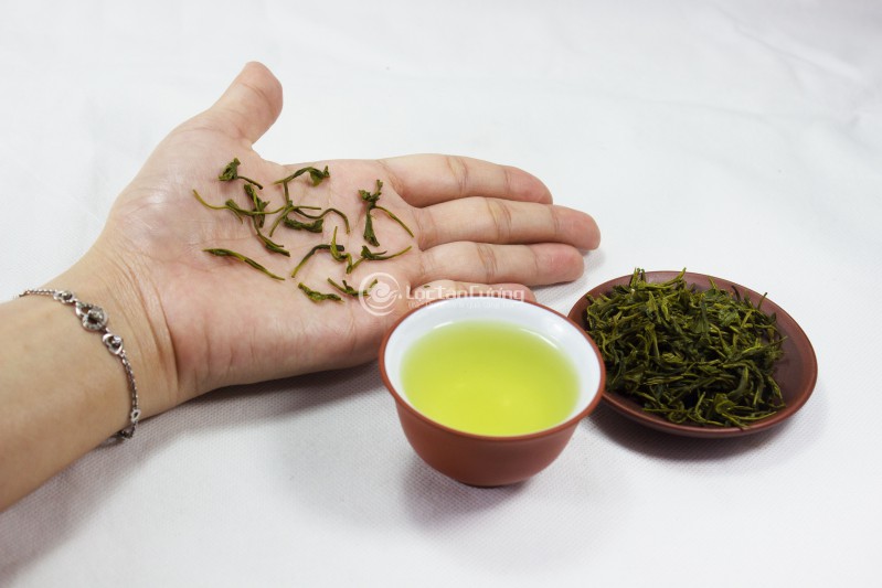 Trực tiếp thử trà vẫn là các tốt nhất để chọn nơi mua chè thái nguyên tại Hà Nội chất lượng